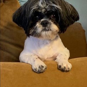 Meet your Posher, Mary